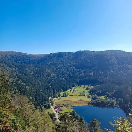 Les Jonquilles: 8/10 Pers. Avec Vue Imprenable! דירה ג'רארדמר