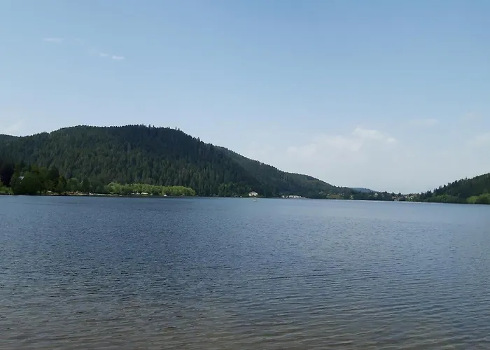 Les Jonquilles: 8/10 Pers. Avec Vue Imprenable! Gérardmer