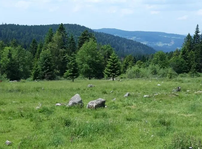 Les Jonquilles: 8/10 Pers. Avec Vue Imprenable! *