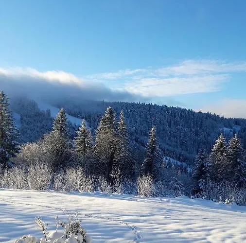 Les Jonquilles: 8/10 Pers. Avec Vue Imprenable! Apartment Gérardmer